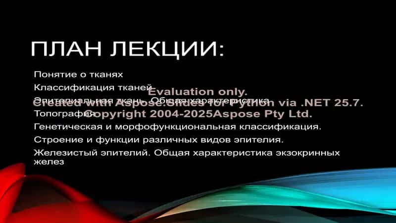 ЭПИТЕЛИАЛЬНЫЕ ТКАНИ 2