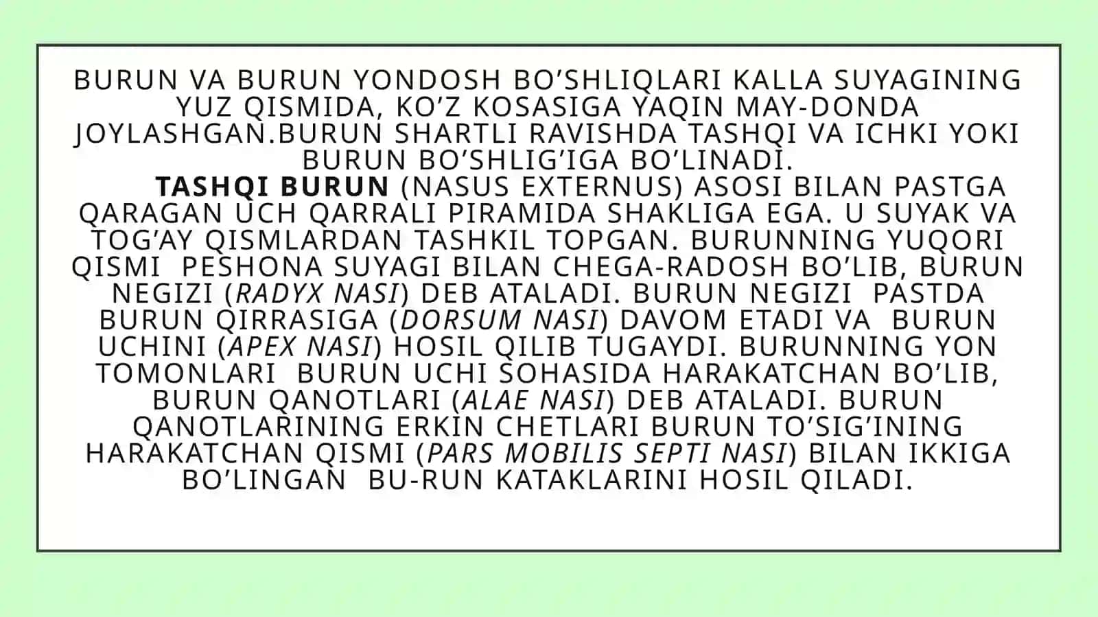 Burun yon bo'shliqlari 2