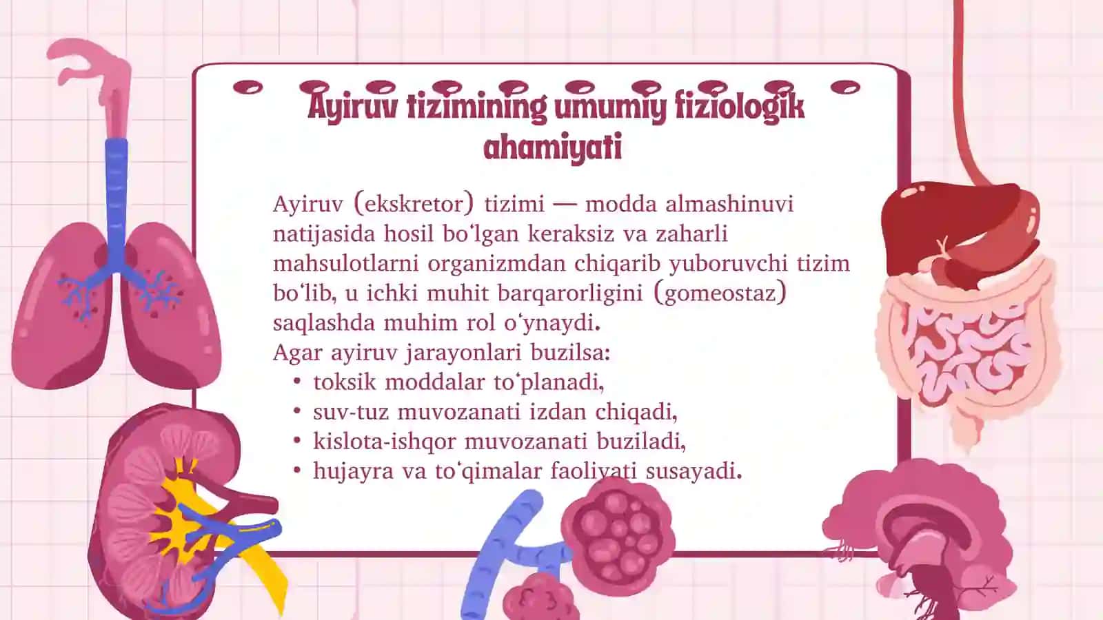 Ayiruv tizimining fiziologiyasi. Buyraklar funksiyalari. Organizmdagi ayiruv jarayonlari. Ichki muhit gomeostazida ishtiroki. Siydik hosil bo‘lish jarayonlari 2