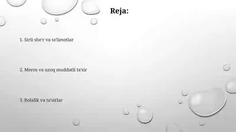 Rumiy hayoti va ijodi 2