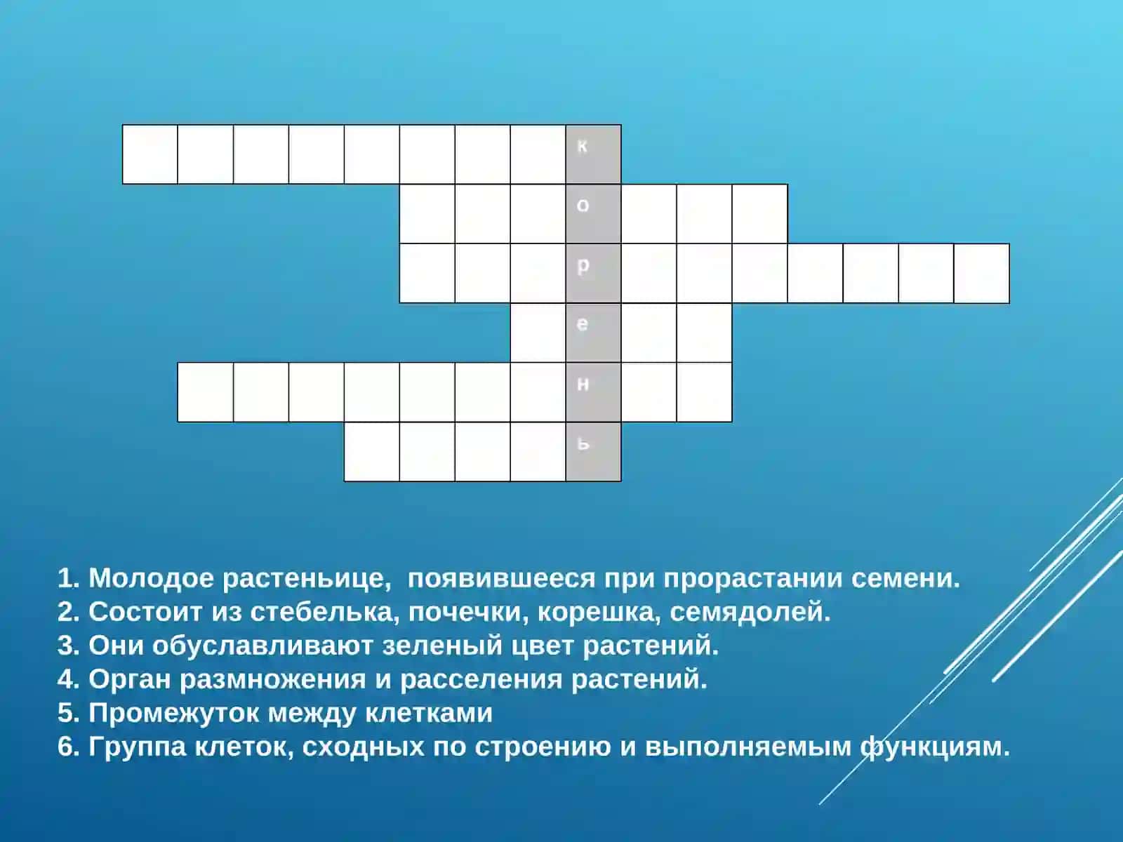 Урок биологии 6 класс по теме : «Корень» 2