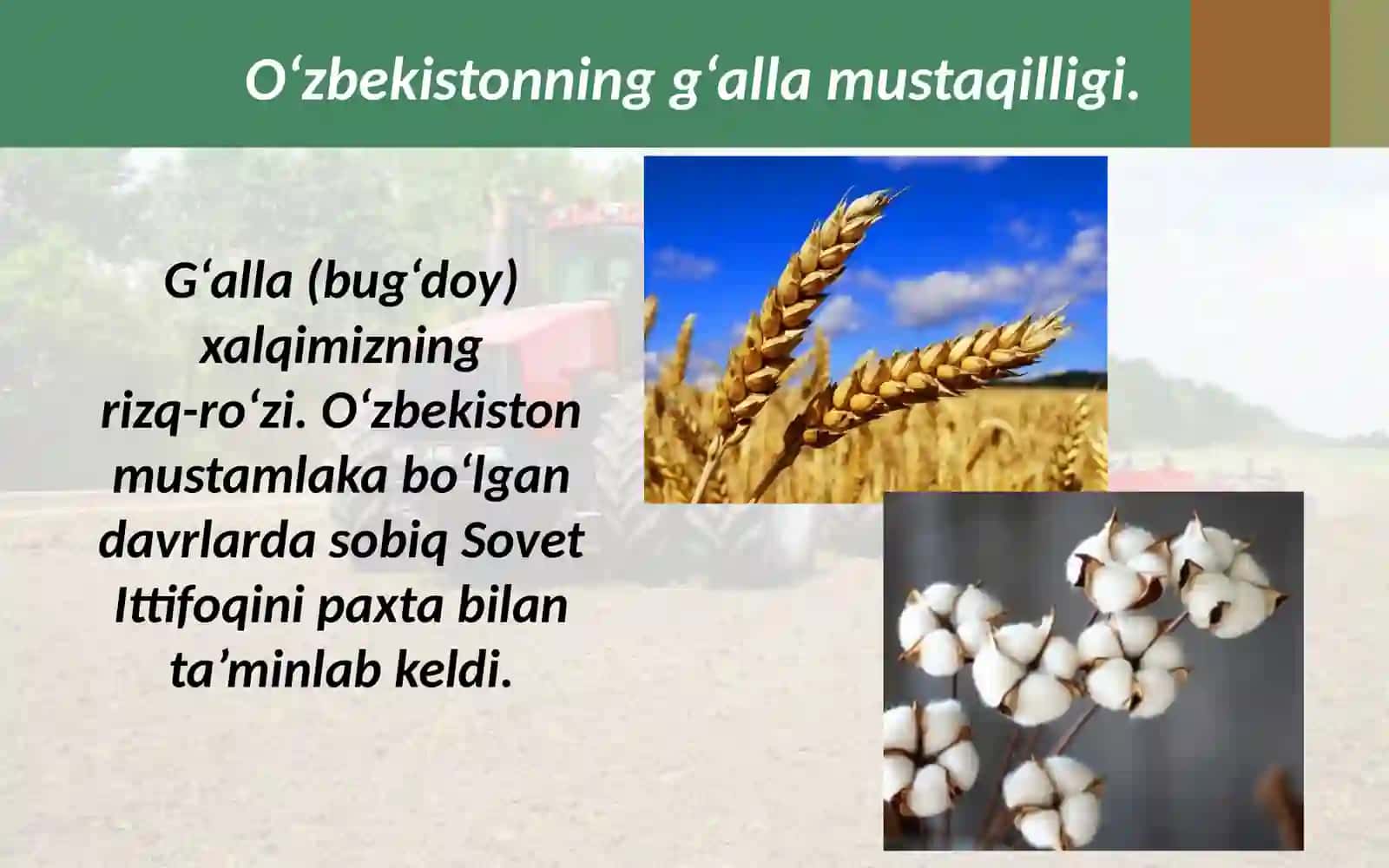 5-sinf Tarix fanidagi yutuqlar 2