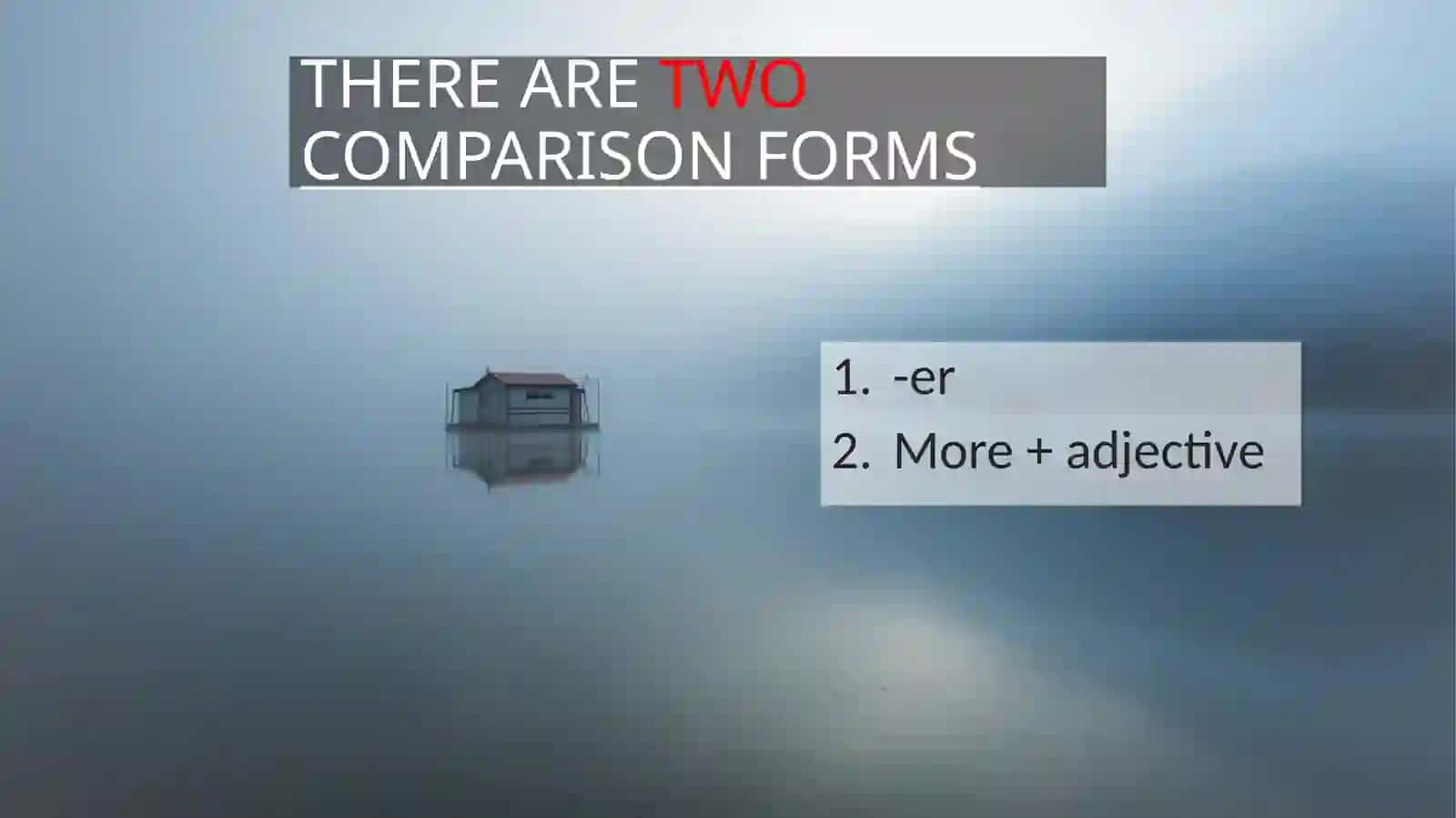 COMPARISON FORM 2