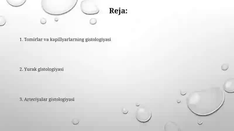 Qon,yurak, arteriyalar tomirlar va kapillyarlar gistomorfologiyasi 2