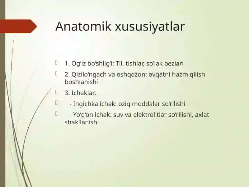 Oshqozon-ichak tizimining anatomo-fiziologik xususiyatlari 2