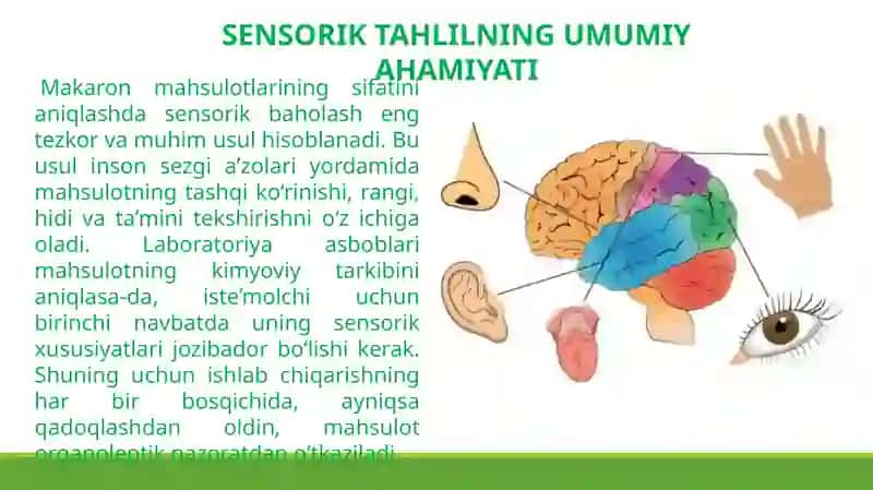 Makaron maxsulotlarga sensorik baxo berish 2