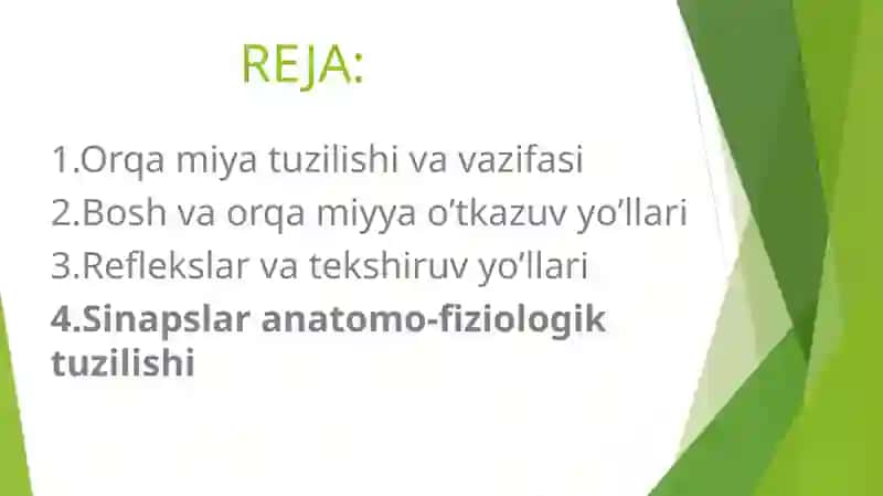Orqa miyaning reflektor va o’tkazuvchi yo’l faoliyati, tekshirish usullari 2