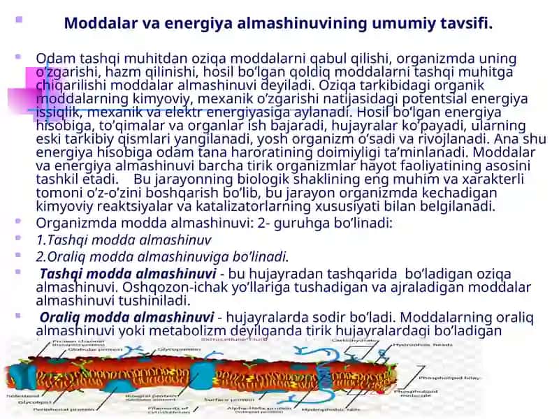 MODDA VA ENERGIYA ALMASHINUVI.PIRОUZUMKISLОTASINING ОKSIDLANISHLI DЕKARBОKSILLANISHI.LIMON KISLOTALISIKL 2