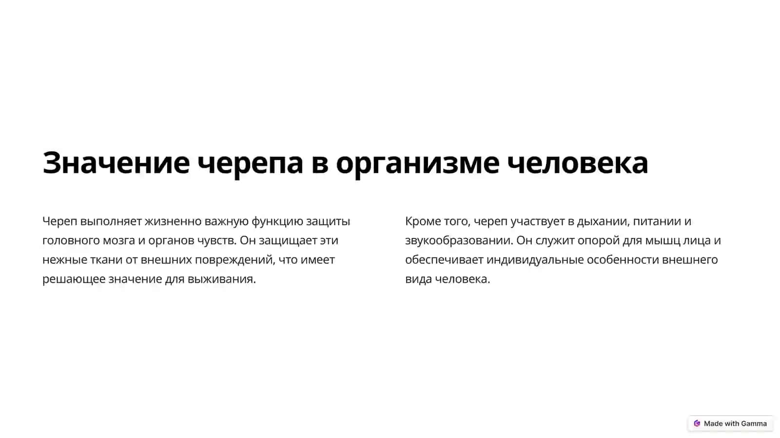 Скелет головы: Строение и особенности построения предложения 2
