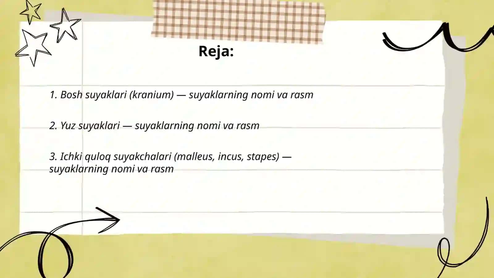 Anatomyadan suyaklarn7 rasmi 206 ta faqat suyaklarni nomi va rasim 2