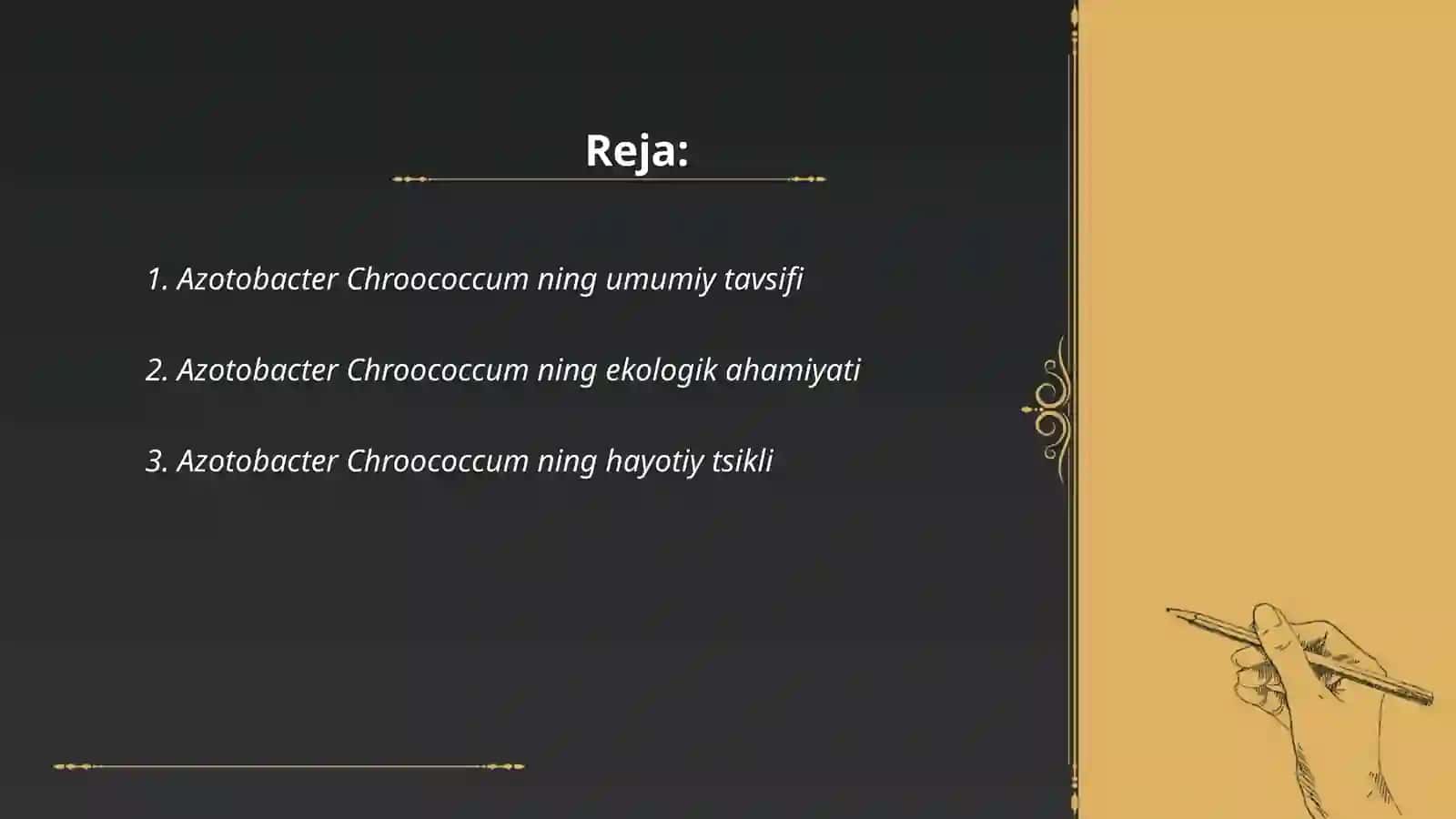 Azotobacter Chrooccumni ajratib olish va fiziologiyasini tahlil qilish 2