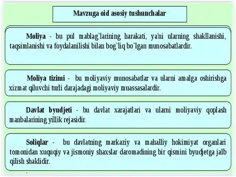 Davlat moliyaviy nazorati 2