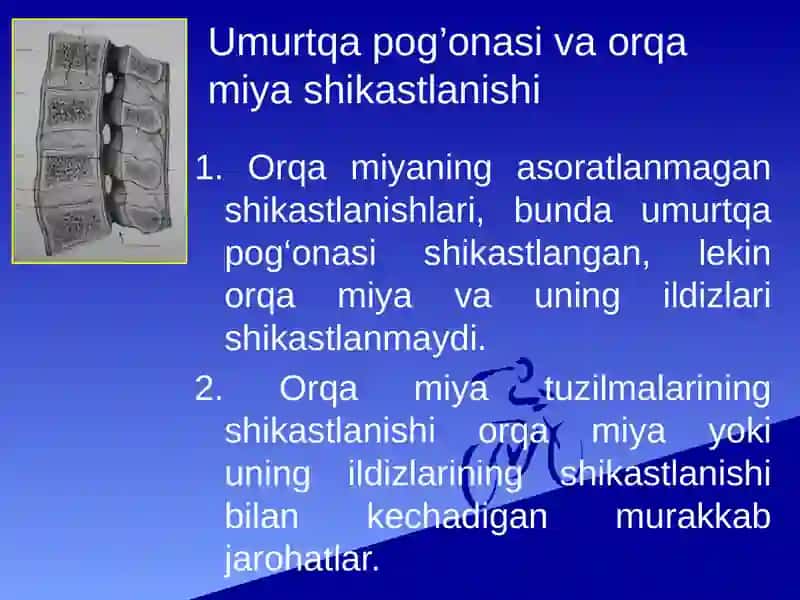 Umurtqa pog’onasi va orqa miya shikastlanishlari 2