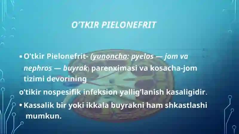 O’tkir Pielonefrit 2