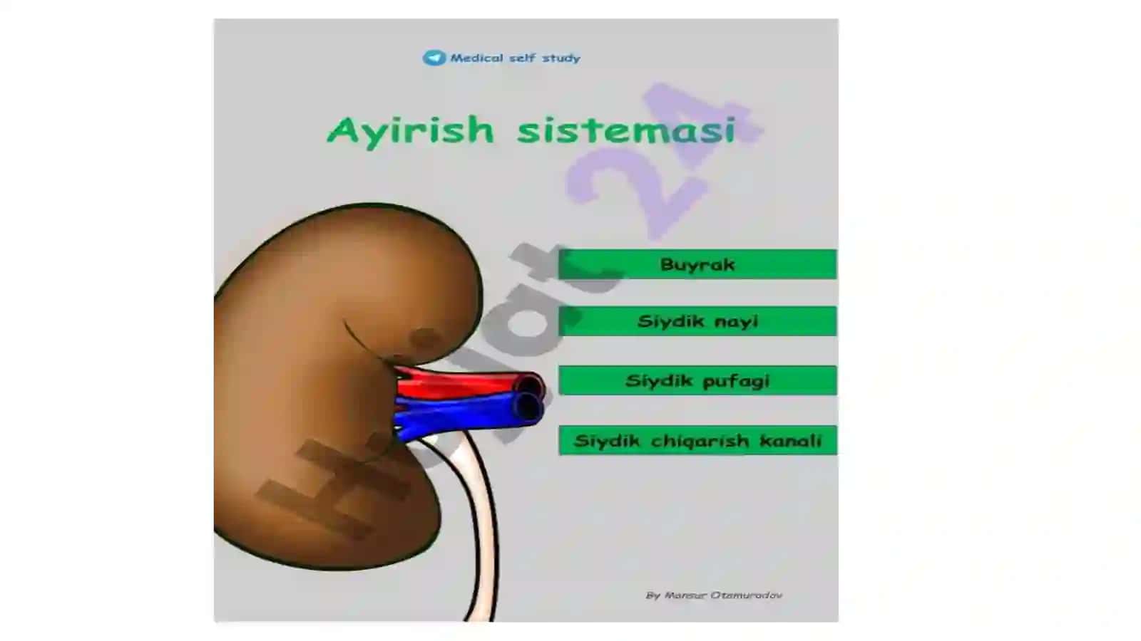 Ko'p tarmoqli tibbiyot texnikumi 2