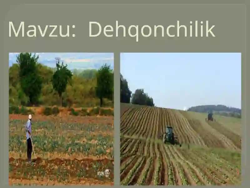 Geografiya fanining dehqonchilik mavzusi 2
