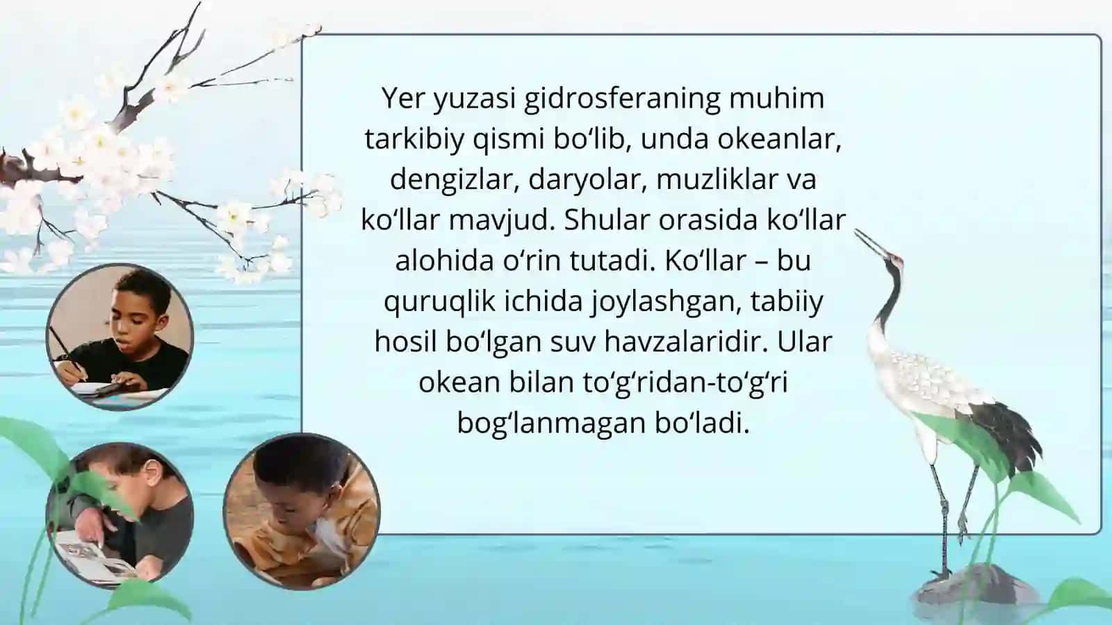 KO‘LLAR VA ULARNING TURLARI 2