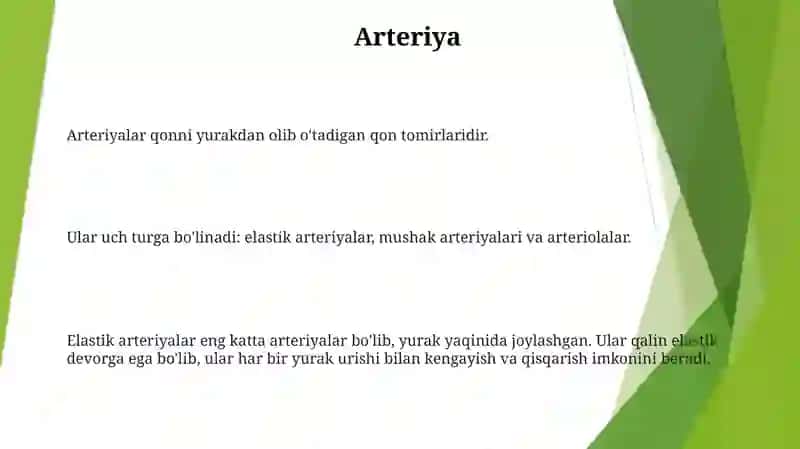 Arteriyalarning Tarqalish Qonuniyatlari 2
