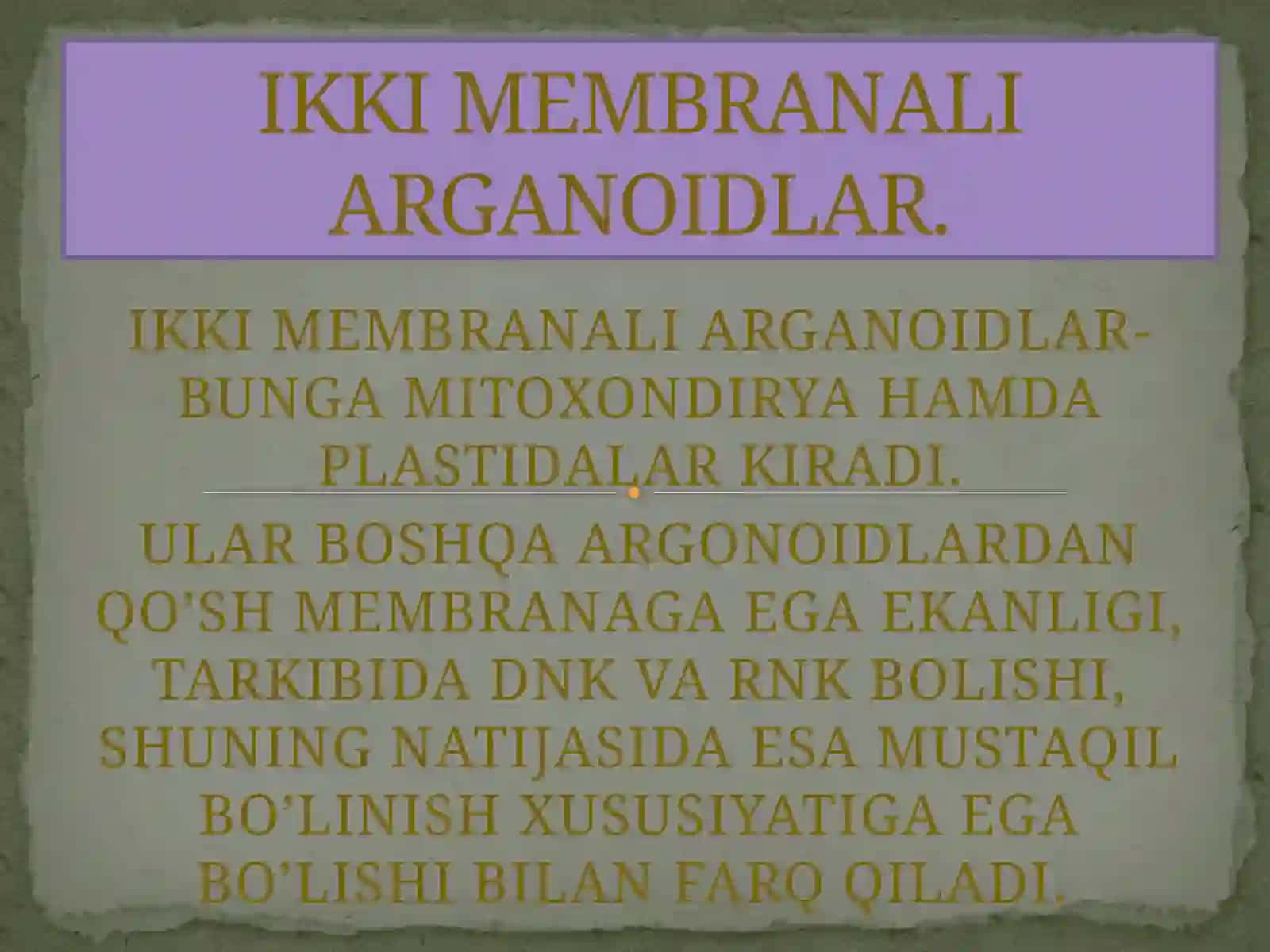 Abdirimov Hakimjonning ikki membranali yarim avtonom argonidlar mavzusida tayyorlagan prezentatsiyasi 2