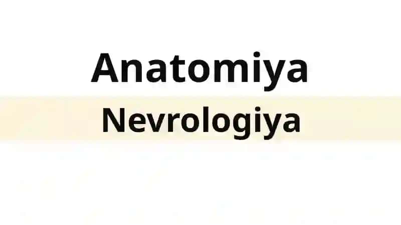 Anatomiya 2