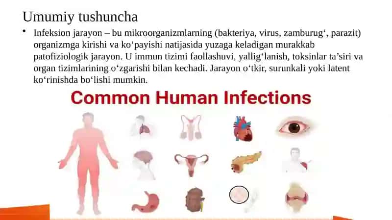 Umumiy infeksion jarayon haqida tushuncha 2