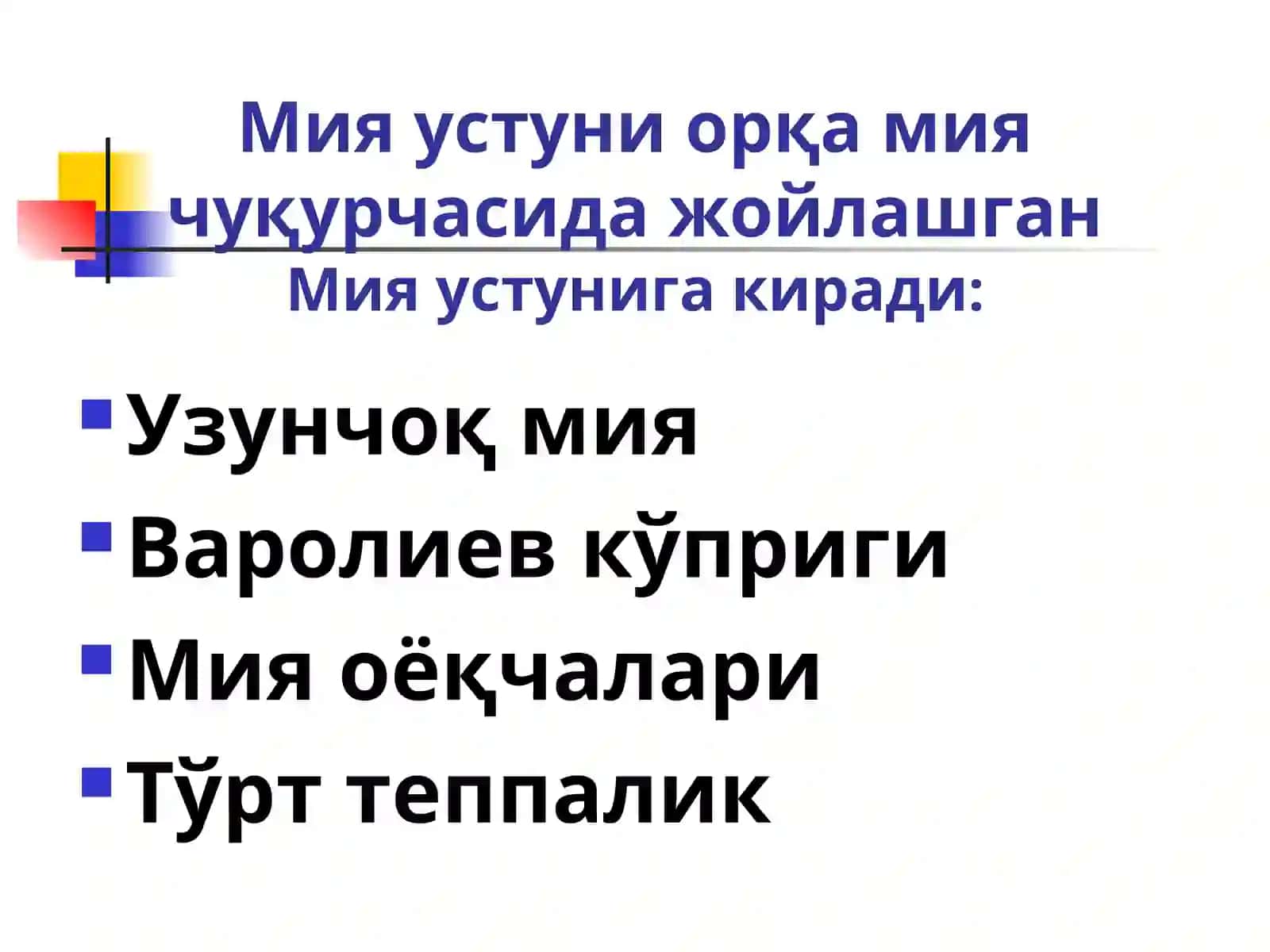 Мия устуни: анатомияси, физиологияси, патологияси 2