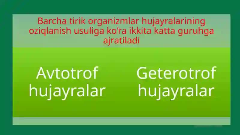 Hujayraning oziqlanishi 2