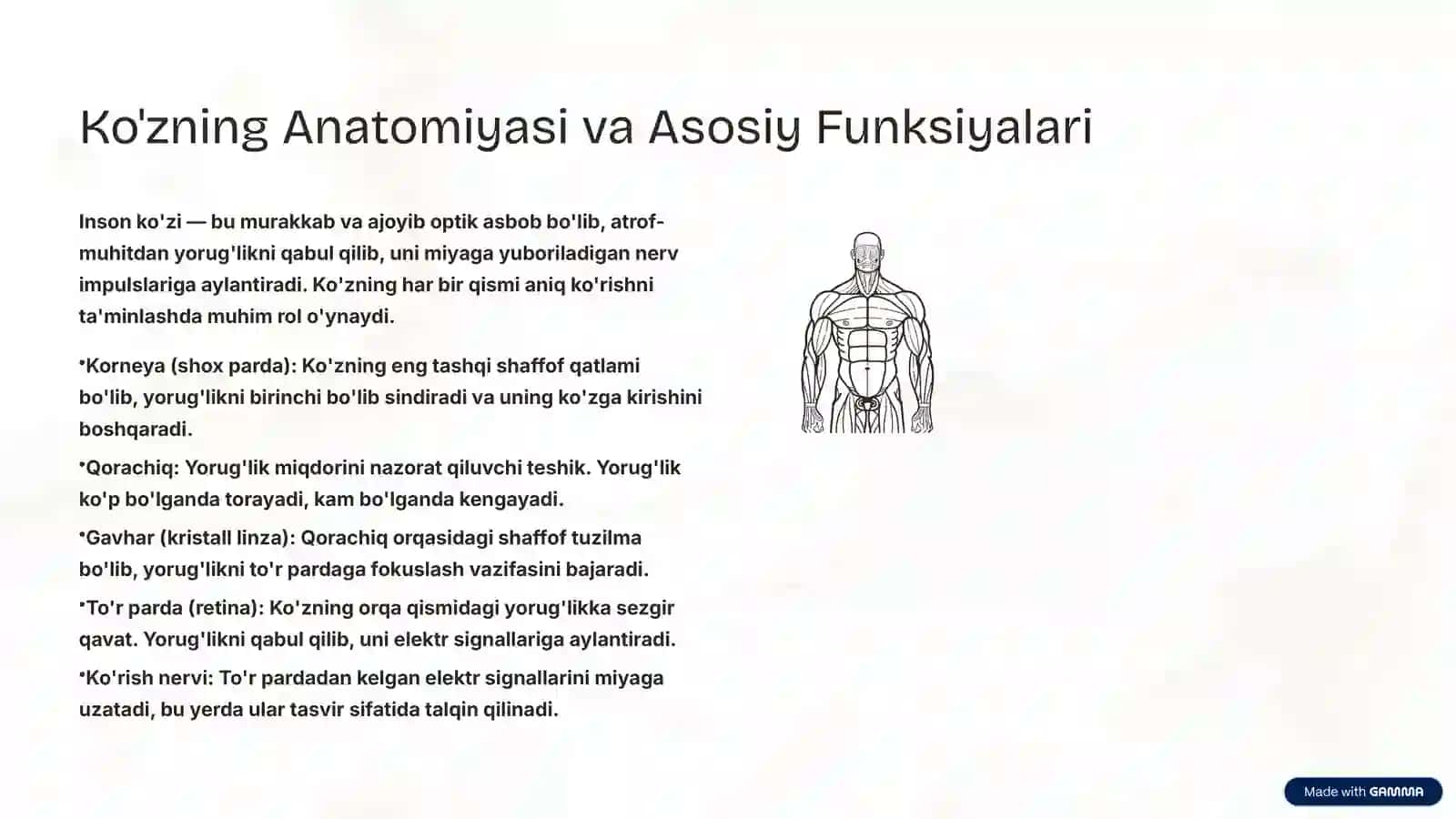 Ko'z Optikasi va Optika Haqida Ma'lumot 2