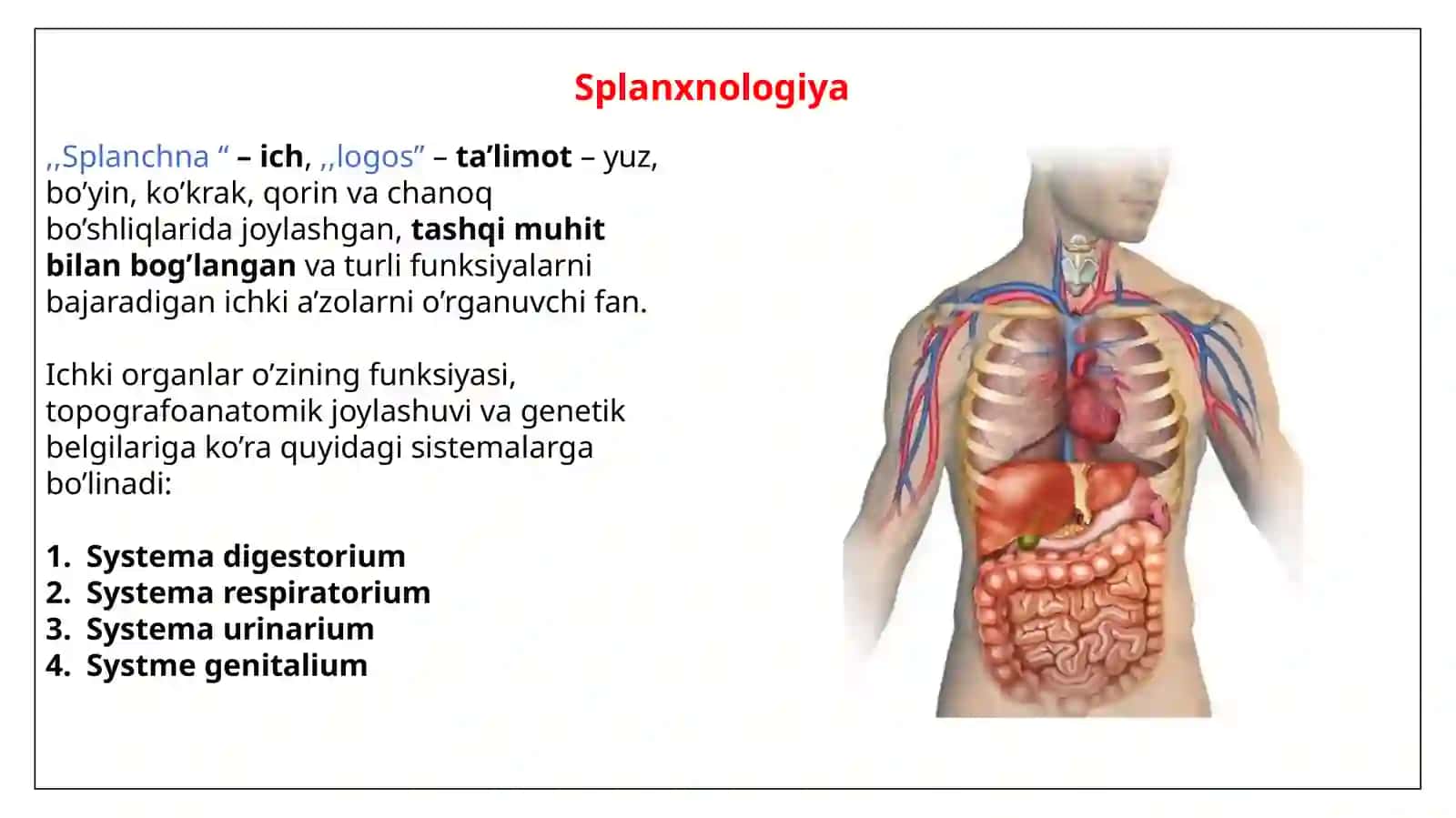 Splanchna ichlogos ta’limot 2