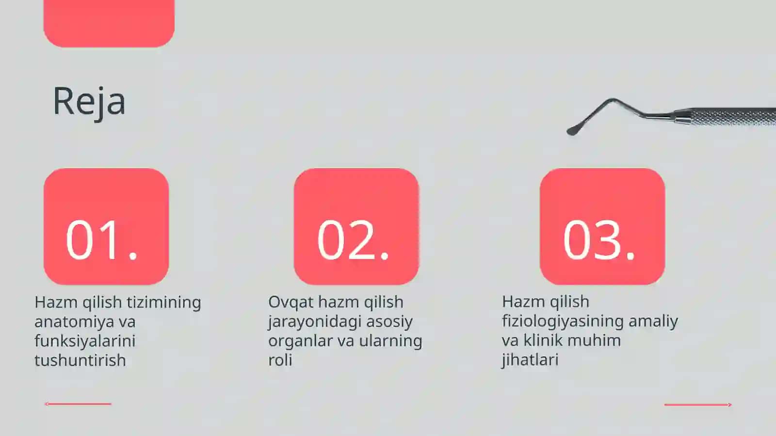 Ovqat hazm qilish fiziologiyasi 2