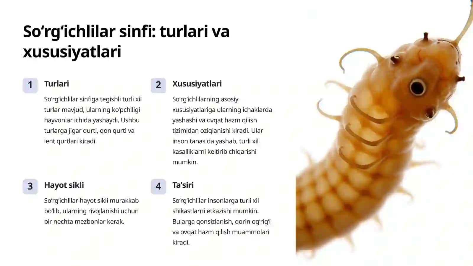 Soʻrgʻichlilar: Jigar Qurti va Qon Qurtlari 2