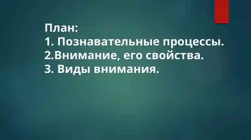 Познавательные процессы в общей психологии 2