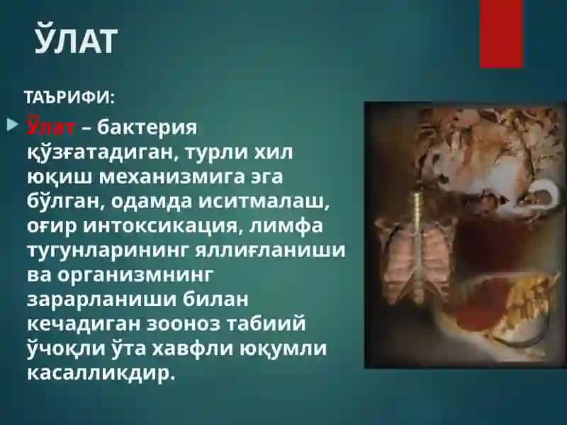Ўлат 2