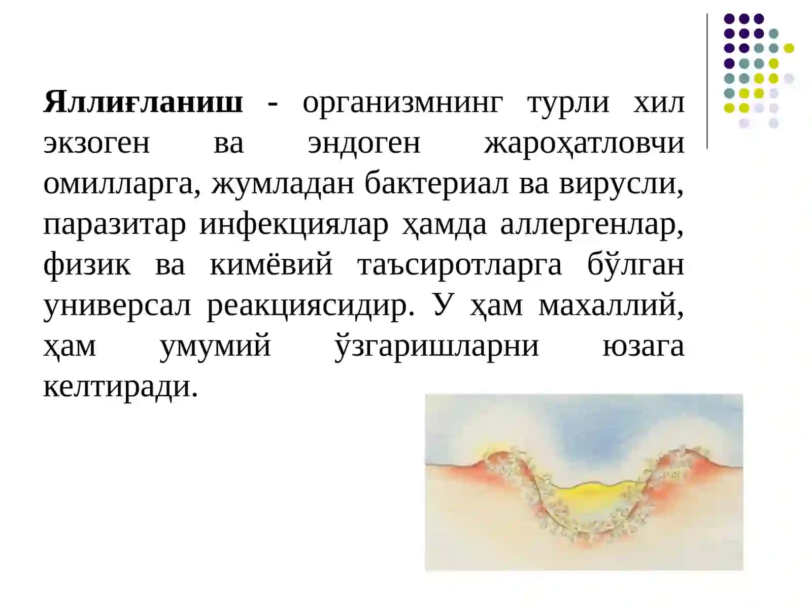 Яллиғланишга қарши доривоситалари 2