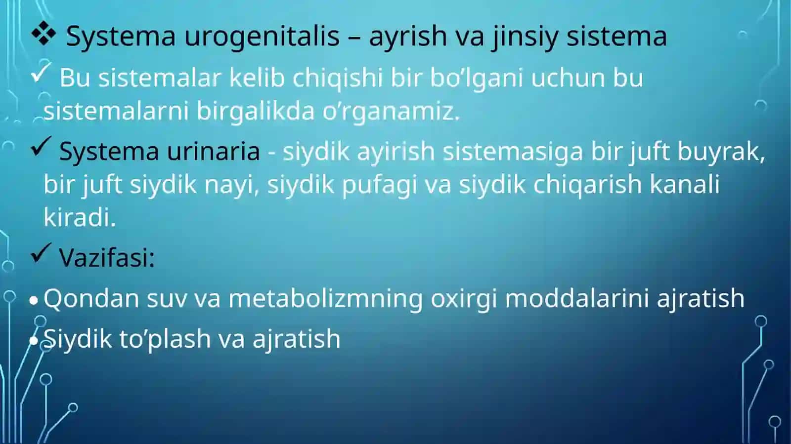 systema urinariya 2
