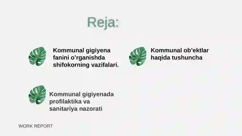 Kommunal gigiyena fanini o’rganishda shifokorning vazifalari. Kommunal ob’ektlar haqida tushuncha 2