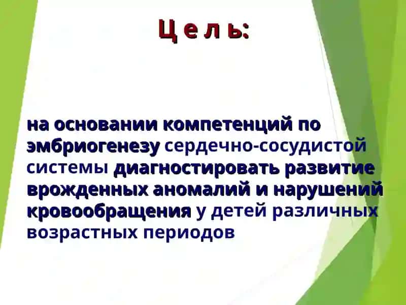 АНАТОМО-ФИЗИОЛОГИЧЕСКИЕ ОСОБЕННОСТИ СЕРДЕЧНО-СОСУДИСТОЙ СИСТЕМЫ У ДЕТЕЙ 2
