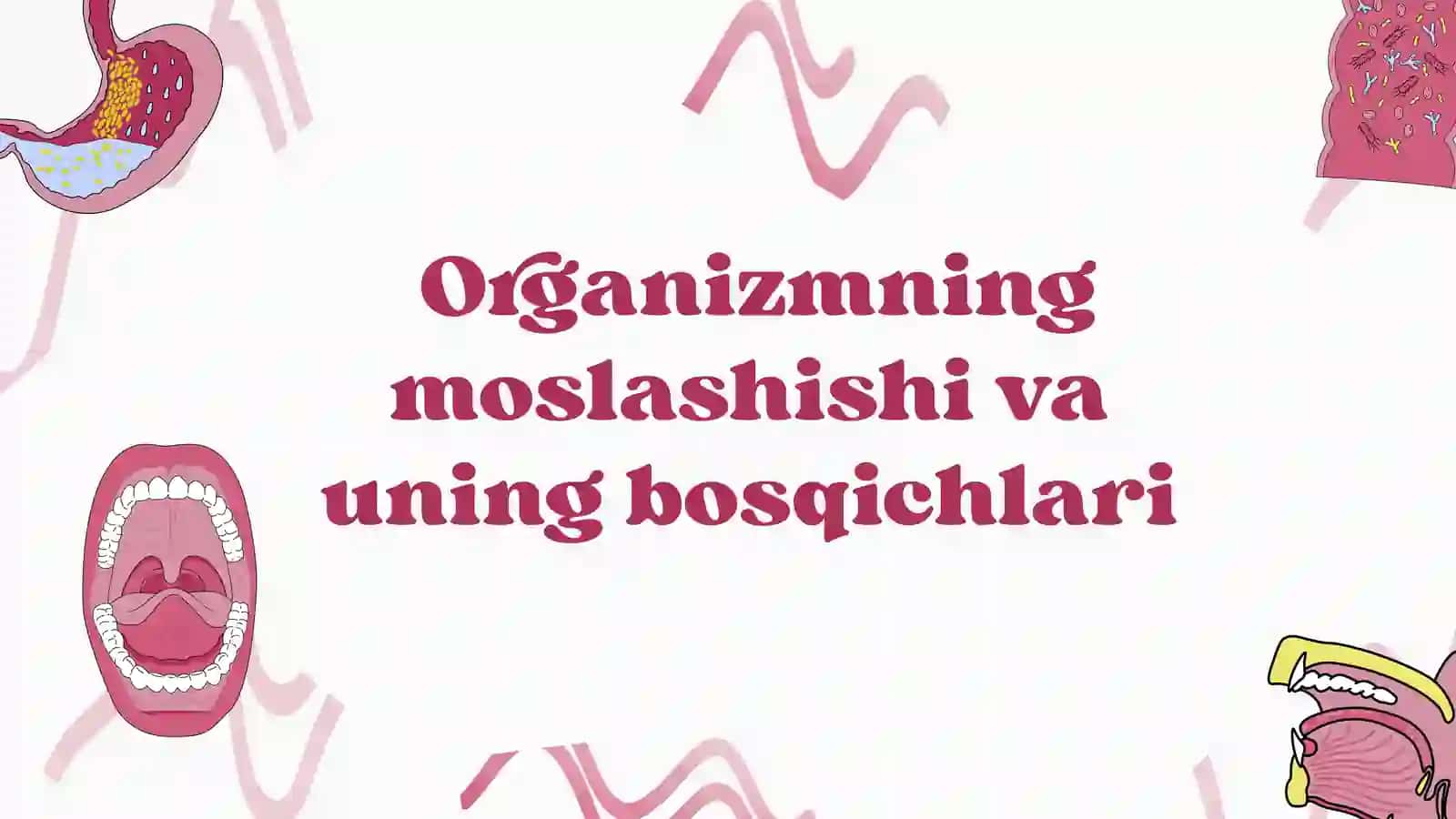 Organizmning moslashishi va uning bosqichlari 2