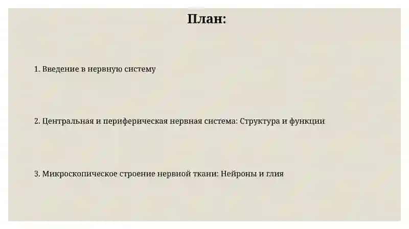 Nerv sistemasi va uning ichki tuzilishi 2