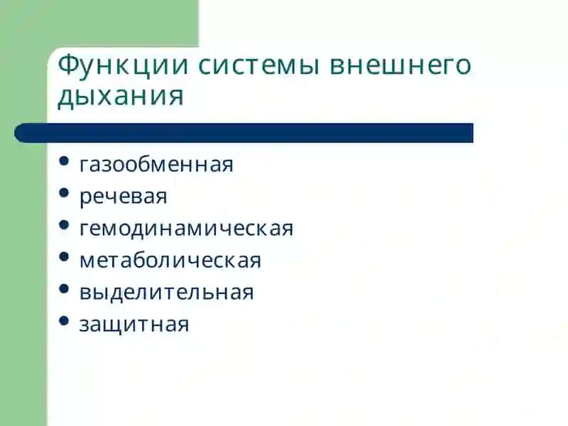 Лекция 16 Патофизиология системы внешнего дыхания. Гипоксии 2
