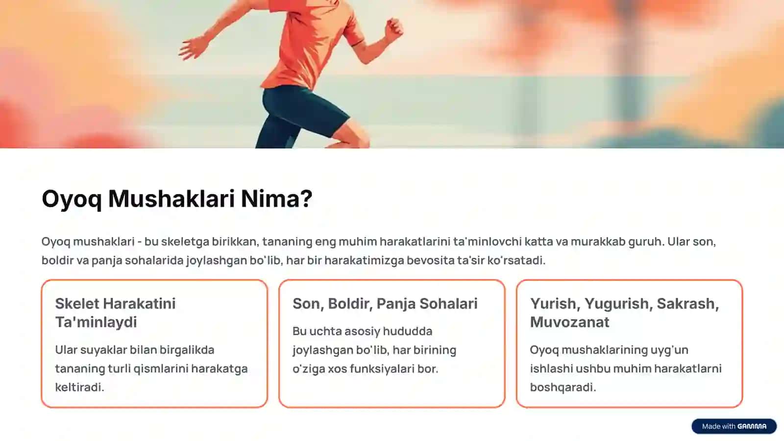 Oyoq Mushaklari Vazifalari: Tuzilishi va Harakatdagi Ahamiyati 2