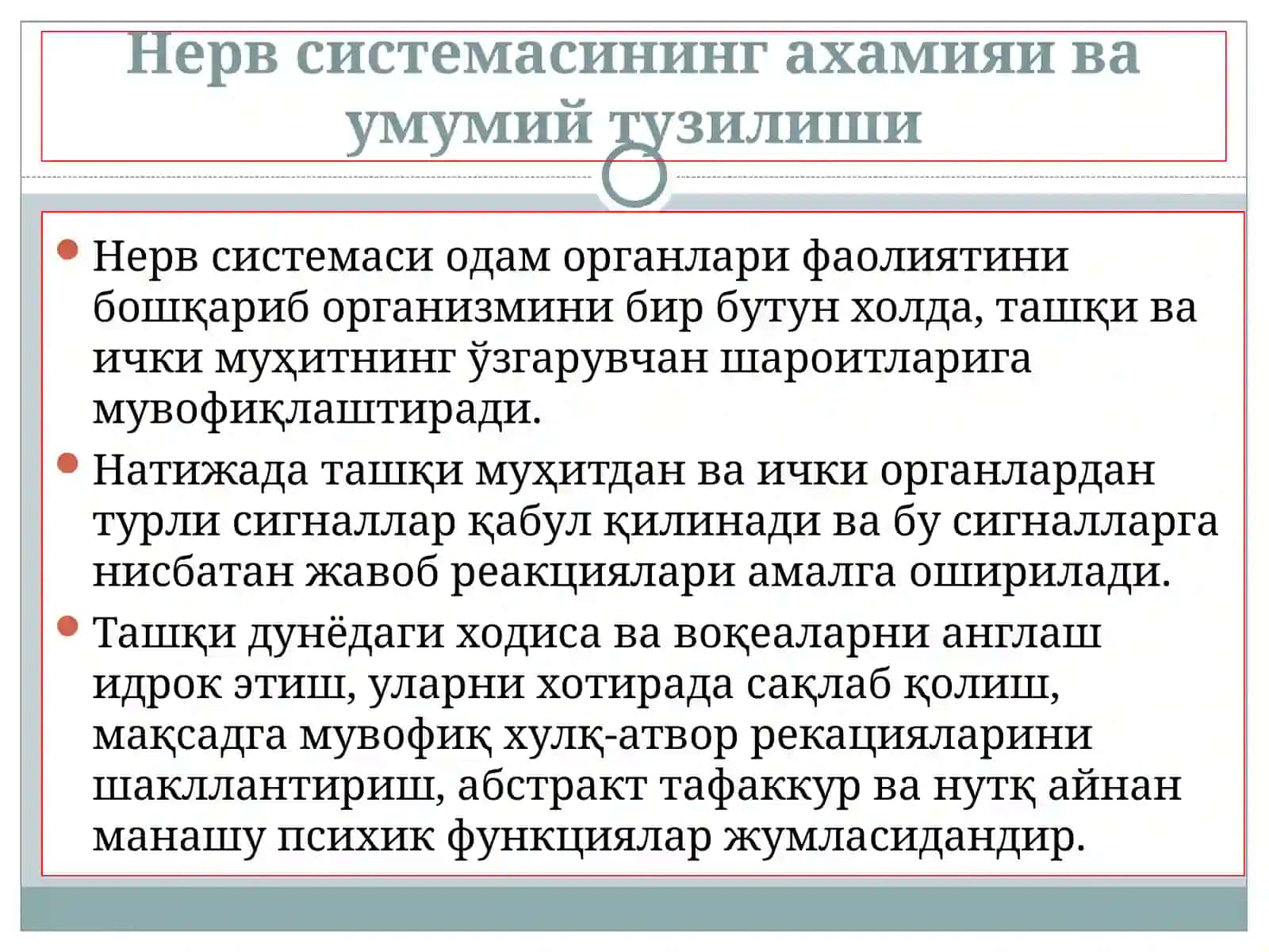 Бош мия яримшарларининг анатомияси ва физиологияси 2