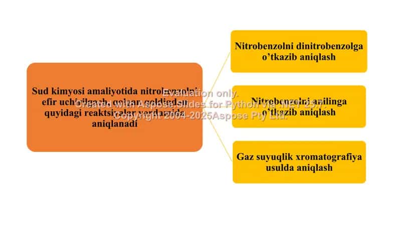 6. Nitrobenzol, toksikologik ahamiyati, ajratib olish va tahlil usullari. Klaster 2 ta. 2