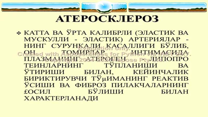 Атеросклероз 2