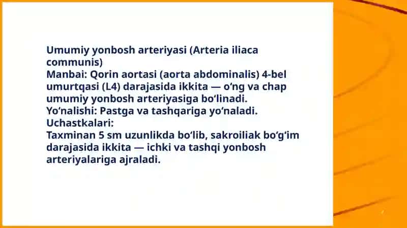 Umumiyyon bosh arteriyasi 2