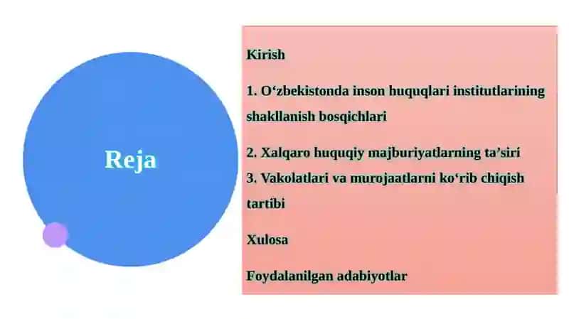 O‘zbekistondagi inson huquqisohasidagi milliy institutlarning vujudga kelishi va ularning ahamiyati 2