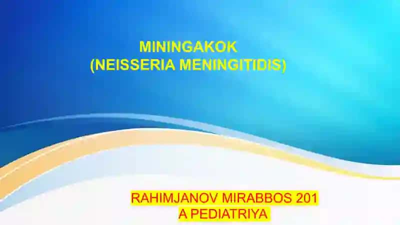 Neisseria meningitidis 2