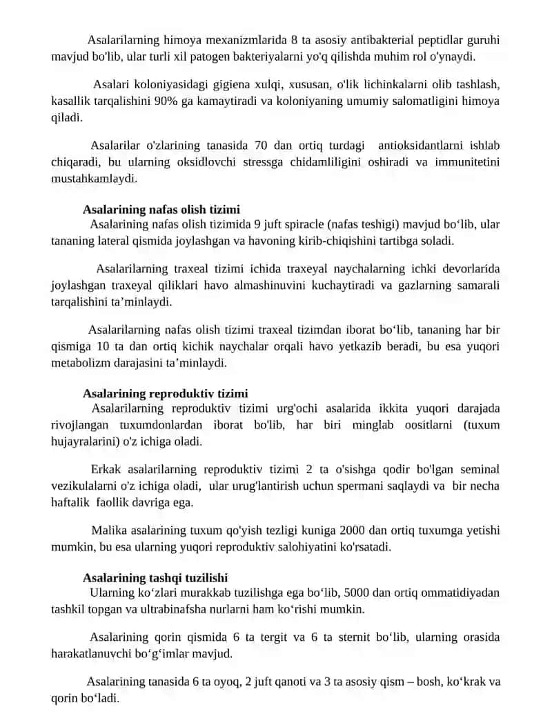 Asalarilarning anatomik tuzilishi va o'ziga xos biologik tuzilishi 2