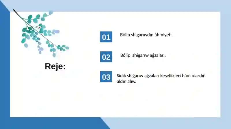 Bólip shigarıw organları fiziologiyası 2