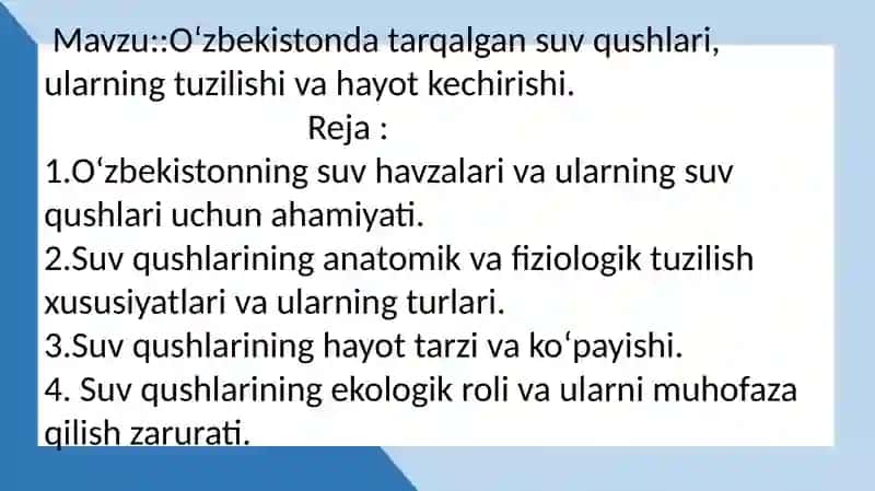 O‘zbekistonda tarqalgan suv qushlari, ularning tuzilishi va hayot kechirishi 2